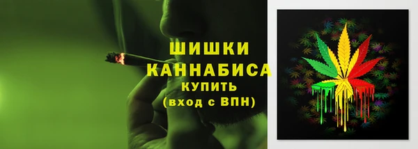 соль ск Горняк
