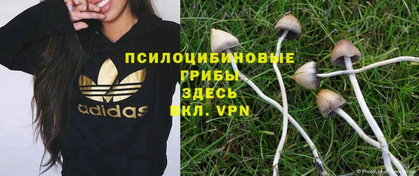 соль ск Горняк