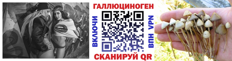 Галлюциногенные грибы Psilocybe купить закладку Инза